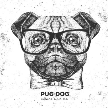 Retro Hipster hayvan pug-köpek. El pug köpek namlu çizimi