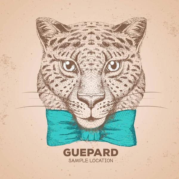 Hipster Animal Guepard. Handzeichnung Maulkorb von Guepard — Stockvektor