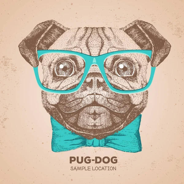 Retro Hipster hayvan pug-köpek. El pug köpek namlu çizimi