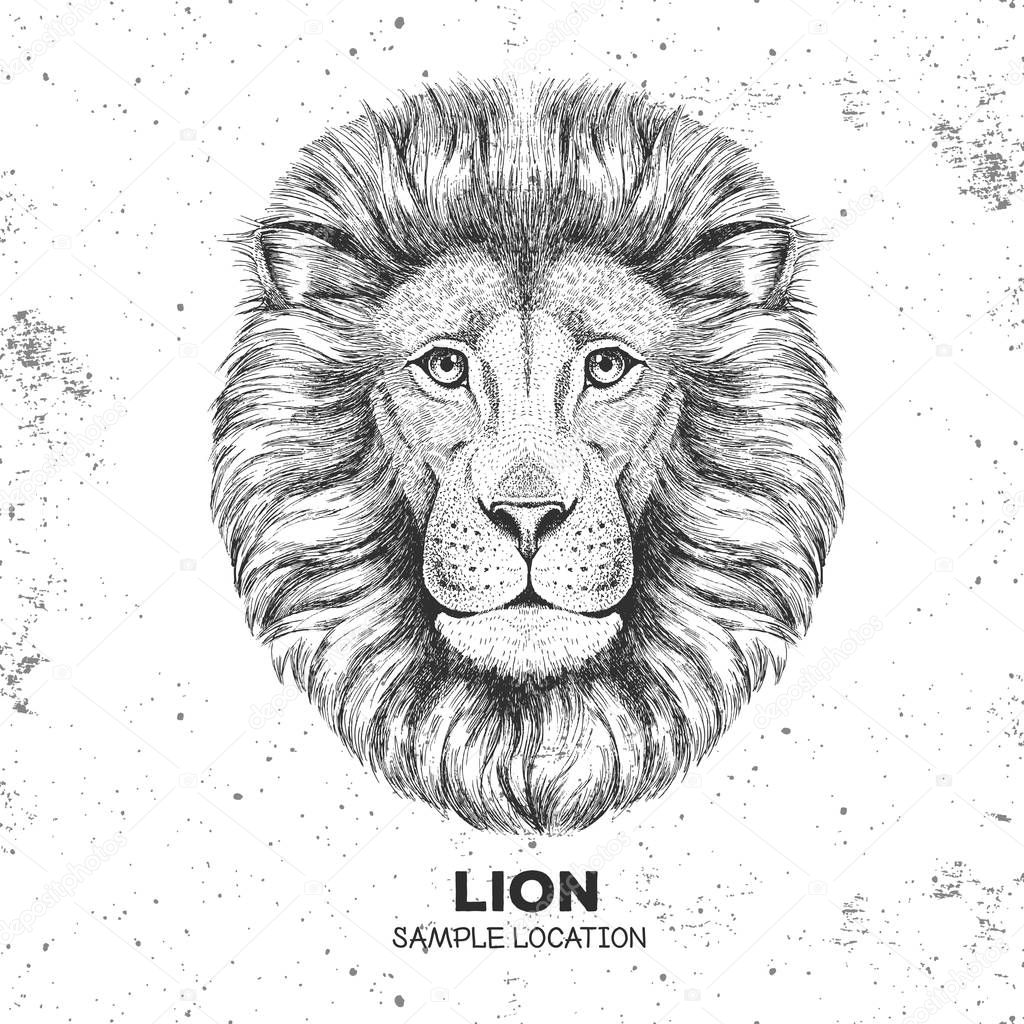 Hipster animal lion. Hand drawing Muzzle of lion