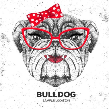 Retro Hipster hayvan bulldog. El çizimi hayvan bulldog namlu. 60'ların kızı