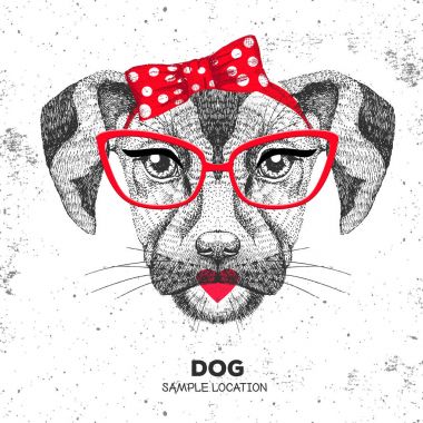 Retro Hipster hayvan köpek. El çizimi hayvan köpek namlu. 60'ların kızı