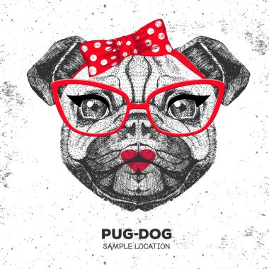 Retro Hipster hayvan pug-köpek. El çizim namlu hayvan pug köpek. 60'ların kızı