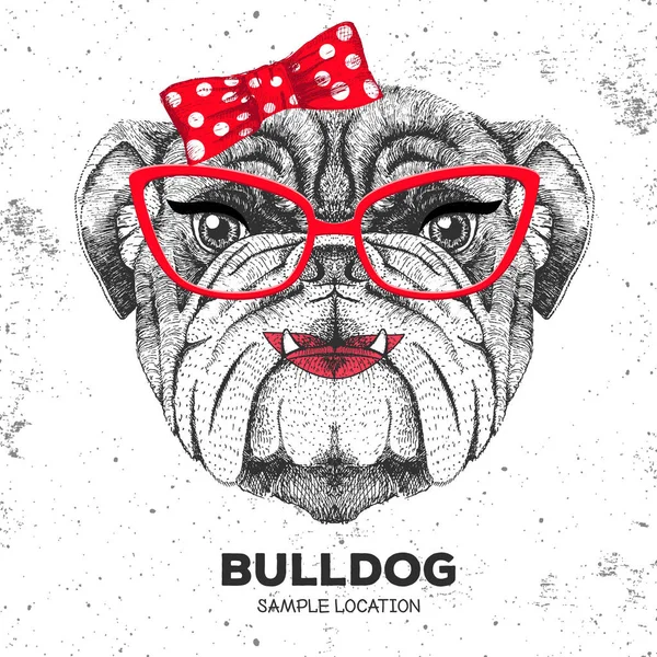 Retro Hipster hayvan bulldog. El çizimi hayvan bulldog namlu. 60'ların kızı