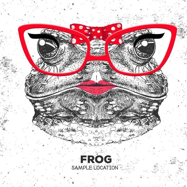 Retro Hipster hayvan kurbağa. El namlu hayvan kurbağa çizimi. 60'ların kızı