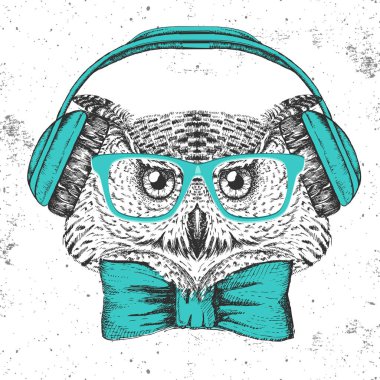 Hipster kuş baykuş. El kuş baykuş namlu çizimi
