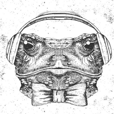 Hipster hayvan kurbağa. El çizim namlu kurbağa