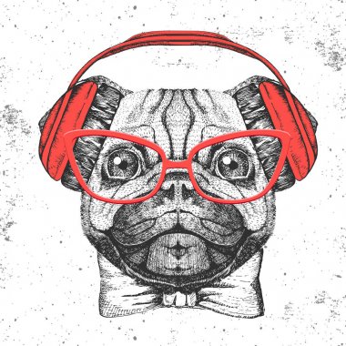 Retro Hipster hayvan pug-köpek. El pug köpek namlu çizimi