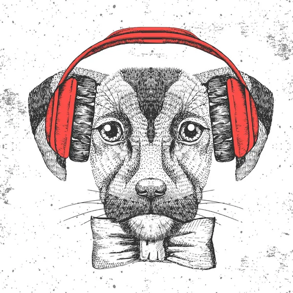 Hipster perro animal. Dibujo a mano Bozal de perro — Vector de stock