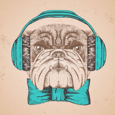Hipster hayvan bulldog. El hayvan köpek namlu çizimi