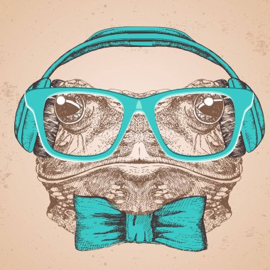 Hipster hayvan kurbağa. El çizim namlu kurbağa