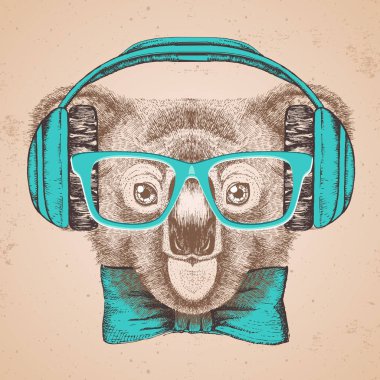 Hipster hayvan koala. El çizim namlu Koala