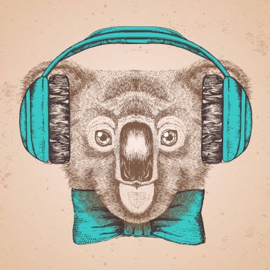 Hipster hayvan koala. El çizim namlu Koala