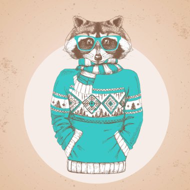 Retro Hipster moda hayvan Rakun kazak içinde giyinmiş. Hipster hayvanlar