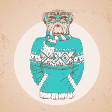 Retro Hipster moda hayvan bulldog kazak içinde giyinmiş. Hipster hayvanlar