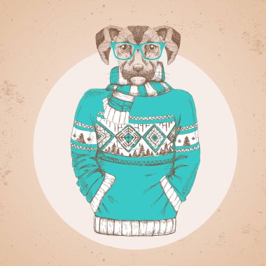 Retro Hipster moda hayvan köpek kazak içinde giyinmiş. Hipster hayvanlar