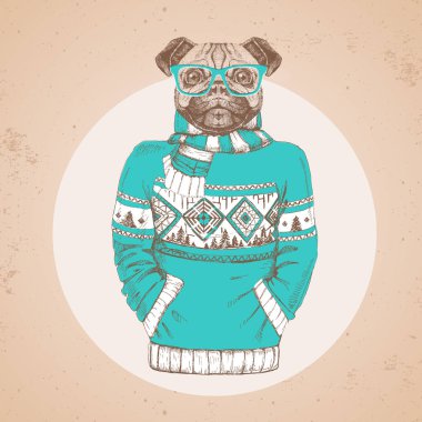 Retro Hipster moda hayvan pug-köpek kazak içinde giyinmiş. Hipster hayvanlar