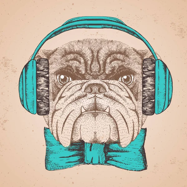 Hipster hayvan bulldog. El hayvan köpek namlu çizimi — Stok Vektör