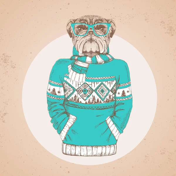 Retro Hipster moda hayvan bulldog kazak içinde giyinmiş. Hipster hayvanlar — Stok Vektör