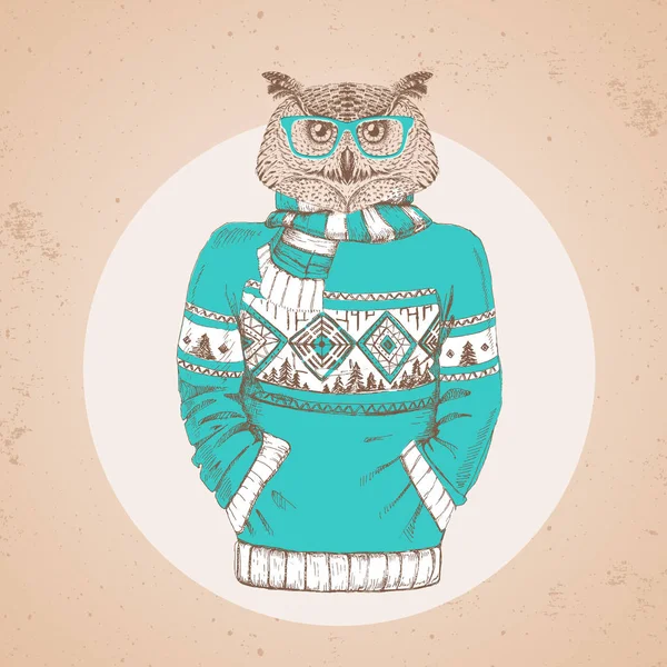 Retro Hipster moda hayvan baykuş kazak içinde giyinmiş. Hipster hayvanlar