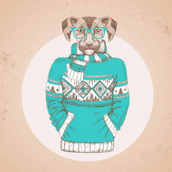 Retro Hipster moda hayvan köpek kazak içinde giyinmiş. Hipster hayvanlar