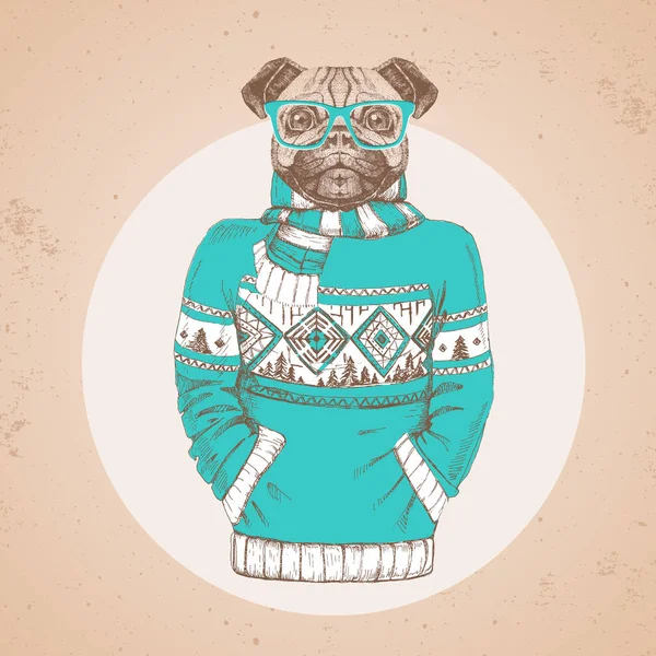 Retro Hipster módní zvířecí mopslík oblečená v svetr. Bokovky zvířata — Stockový vektor