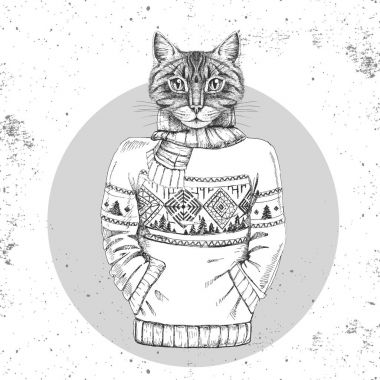 Retro Hipster moda hayvan kedi kazak içinde giyinmiş. 