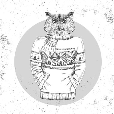 Retro Hipster moda hayvan baykuş kazak içinde giyinmiş. 