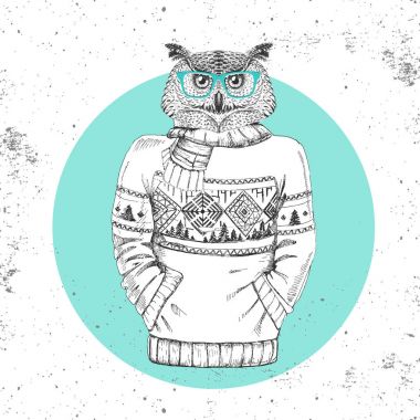 Retro Hipster moda hayvan baykuş kazak içinde giyinmiş. 