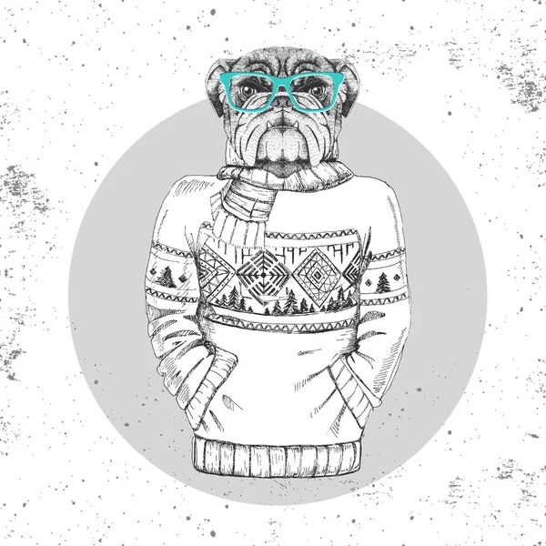 Retro Hipster fashion dierlijke bulldog gekleed in pullover. — Stockvector