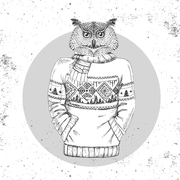 Retro Hipster moda hayvan baykuş kazak içinde giyinmiş. 