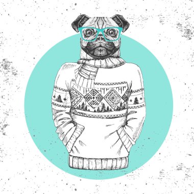 Retro Hipster moda hayvan pug-kazak içinde giyinmiş köpek. 