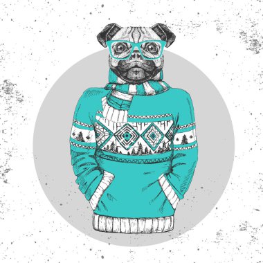 Retro Hipster moda hayvan pug-kazak içinde giyinmiş köpek. 