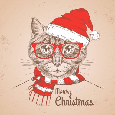 Noel Hipster moda hayvan kedi yeni yıl şapkası giymiş 