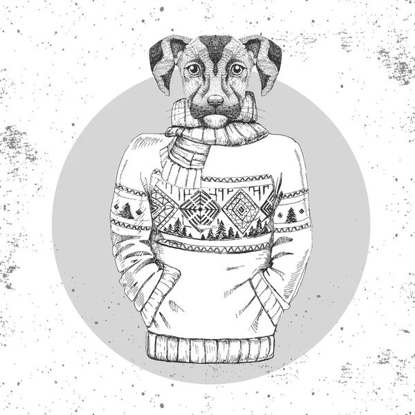 Retro-Hipster-Mode Tierhund im Pullover. — Stockvektor