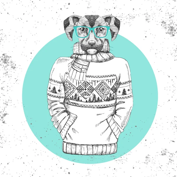 Moda retro Hipster Zwierzęta Pies ubrane w sweter. — Wektor stockowy
