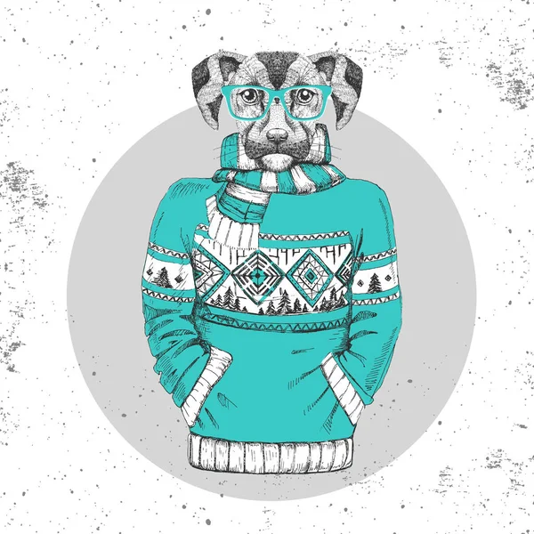 Retro Hipster fashion animal dog dressed up in pullover.
