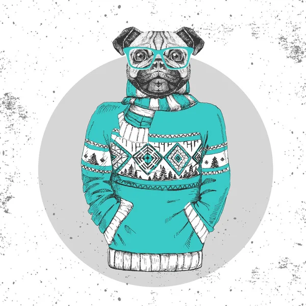 Retro Hipster fashion animal pug-dog dressed up in pullover. — Stock Vector