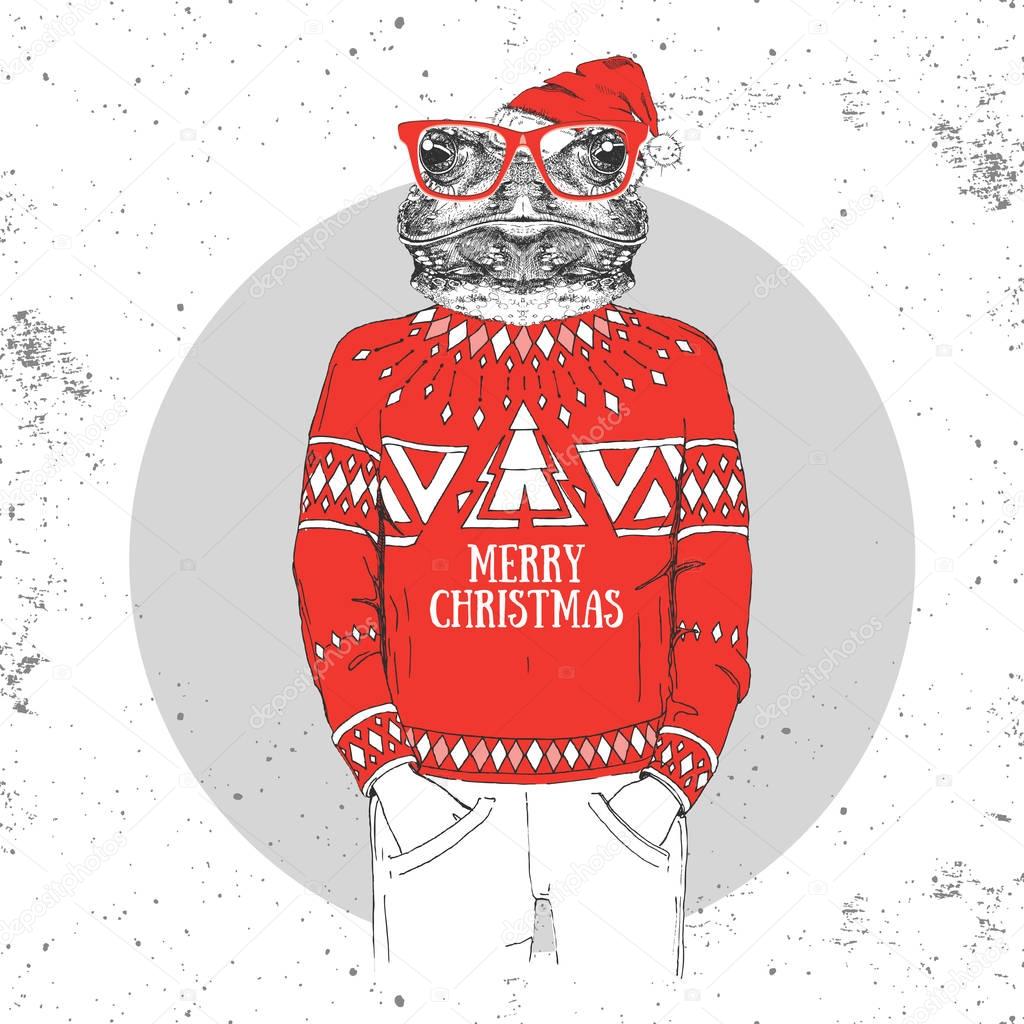 Christmas Hipster fashion animal frog dressed a New Year hat and pullover