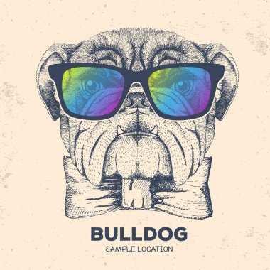Hipster hayvan bulldog. El hayvan köpek namlu çizimi