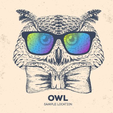 Hipster kuş baykuş. El kuş baykuş namlu çizimi