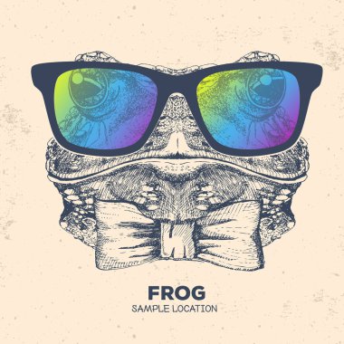 Hipster hayvan kurbağa. El çizim namlu kurbağa