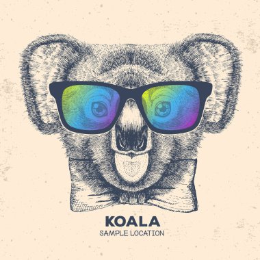Hipster hayvan koala. El çizim namlu Koala