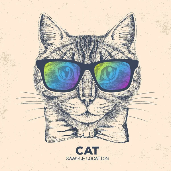 Bokovky kočka. Ruční kresba čenich kočka — Stockový vektor