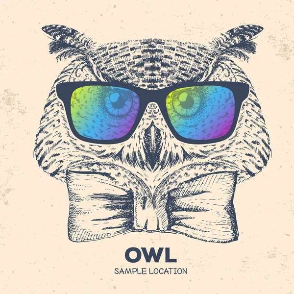 Hipster kuş baykuş. El kuş baykuş namlu çizimi