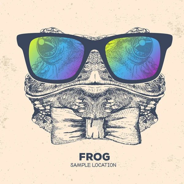 Hipster hayvan kurbağa. El çizim namlu kurbağa