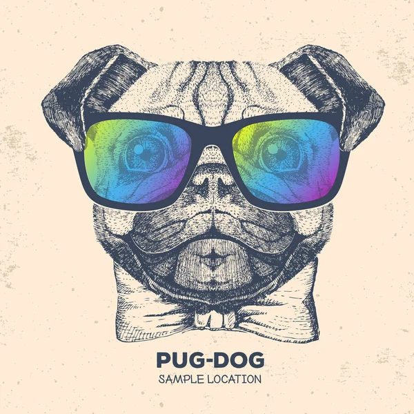 Retro Hipster hayvan pug-köpek. El pug köpek namlu çizimi