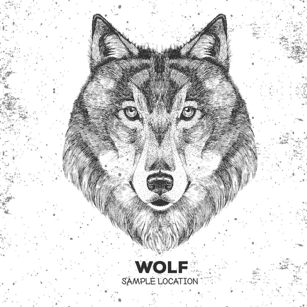 Retro-Hipster-Tier Wolf. Handzeichnung Maulkorb des Wolfes — Stockvektor