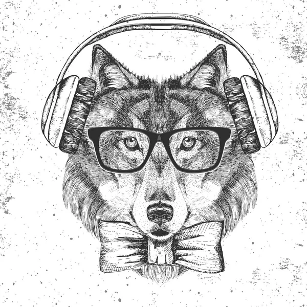 Ρετρό Hipster ζώων λύκος με ακουστικά. Χέρι σχεδίασης ρύγχος του λύκου — Διανυσματικό Αρχείο