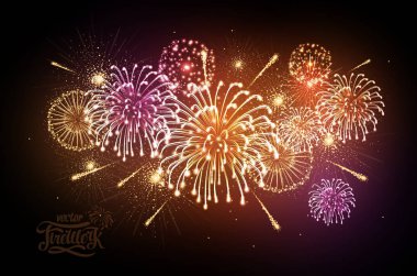 Vektör tatil renkli havai fişek. Bağımsızlık günü